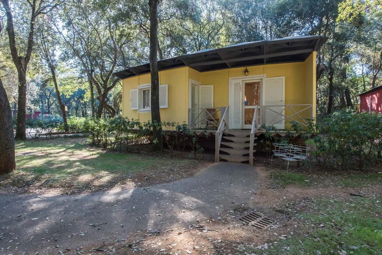 Houses And Apts. In San Vincenzo 23708 Holiday home