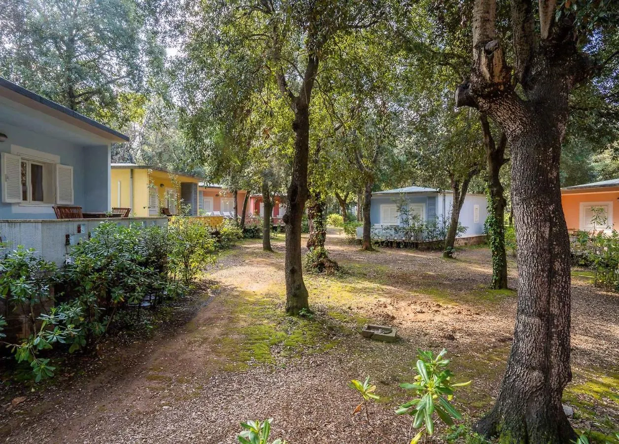 Holiday home Houses And Apts. In San Vincenzo 23708
