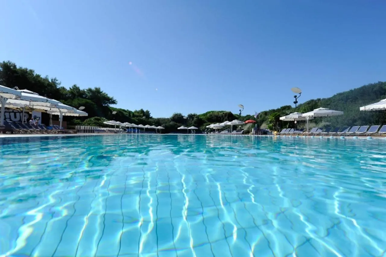 Houses And Apts. In San Vincenzo 23708